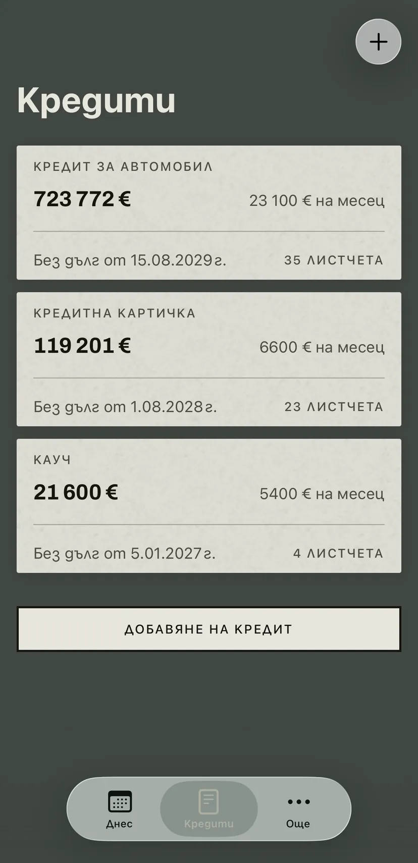 Списъкът с кредити: кредит за кола, кредитна карта и покупка на изплащане, всеки с оставащ дълг, месечна вноска, дата и листчетата, които остават в кочана.