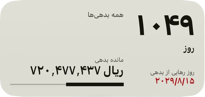 ابزارک متوسط: روزهای باقیمانده تا تاریخ رهایی از بدهی، تاریخ به رنگ قرمز، مانده همه بدهیها و نواری برای سهم تسویهشده.