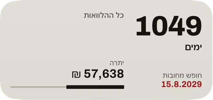 הווידג׳ט הבינוני: הימים עד תאריך החופש מחובות, התאריך באדום, היתרה של כל ההלוואות ופס לחלק ששולם.