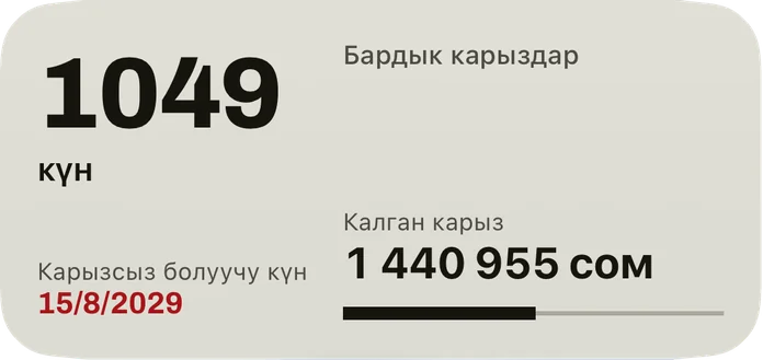 Орто виджет: карызсыз боло турган күнгө чейинки күндөр, кызыл түстөгү күн, бардык карыздардын калган карызы жана төлөнгөн үлүштүн тилкеси.