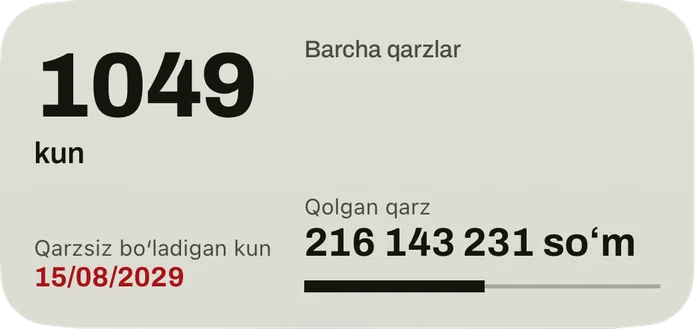 Oʻrta vidjet: qarzsiz boʻladigan sanagacha qolgan kunlar, qizil rangdagi sana, barcha qarzlarning qolgan qarzi va toʻlangan ulush tasmasi.